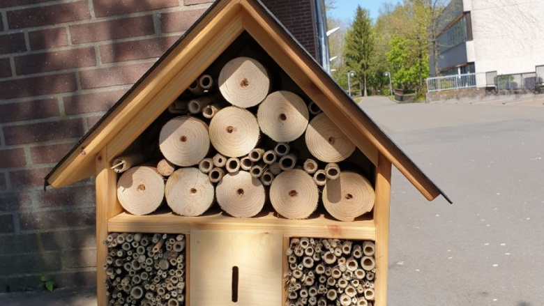 Earth Day – CDU Achim favorisiert die Bienen vor Ort
